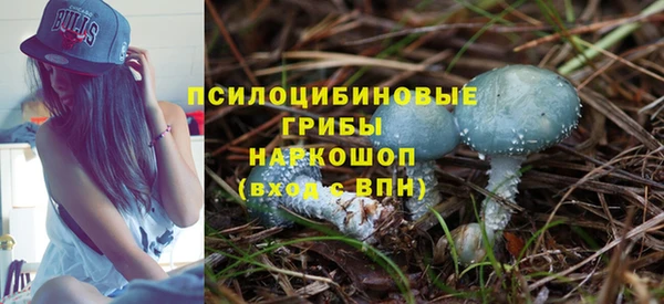 ALPHA-PVP Верхний Тагил