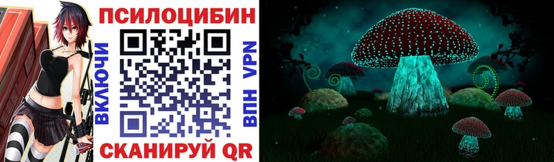 где найти   Волжский  Псилоцибиновые грибы мухоморы 
